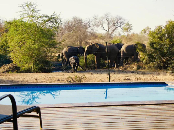 Others 5, Masodini Game Lodge, Mopani