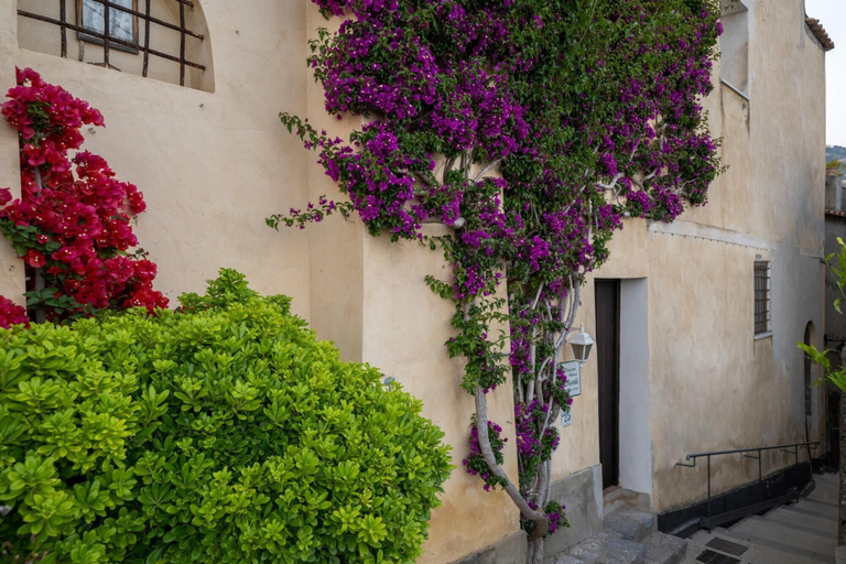 Exterior & Views 2, Villa Panorama - Garden Overlooking the sea and Sauna, Salerno