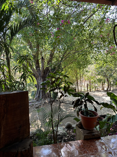 Others 4, Quinta mi Tata B&B, Carrillo