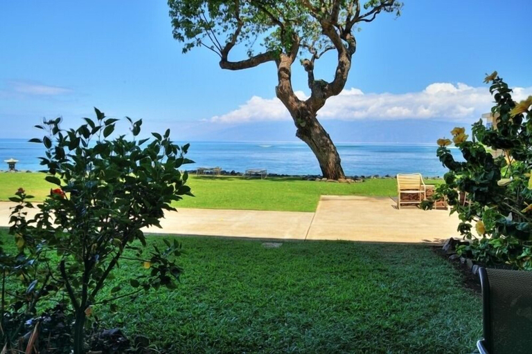 Property grounds 5, Kahana Reef 116 by RedAwning, Maui