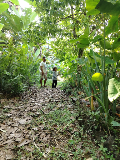 Others 3, Campo Duro ecolodge, Isabela