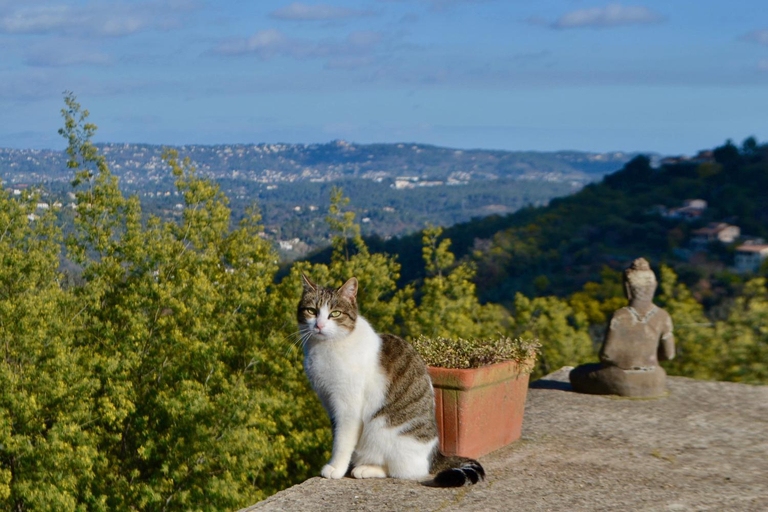 Others 5, Amoureux du calme et de la nature, Var