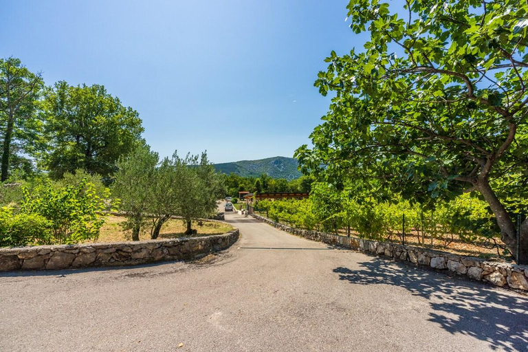 Others 5, Wine Garden House, Vinodolska