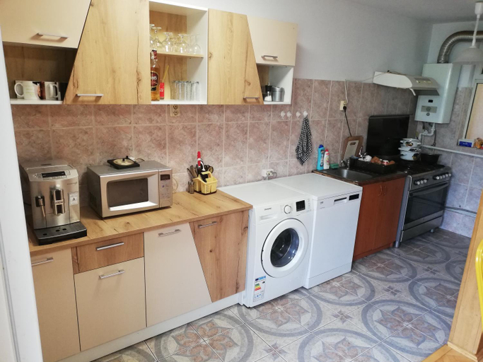 Others 2, Casa BUCUR, Targu Ocna