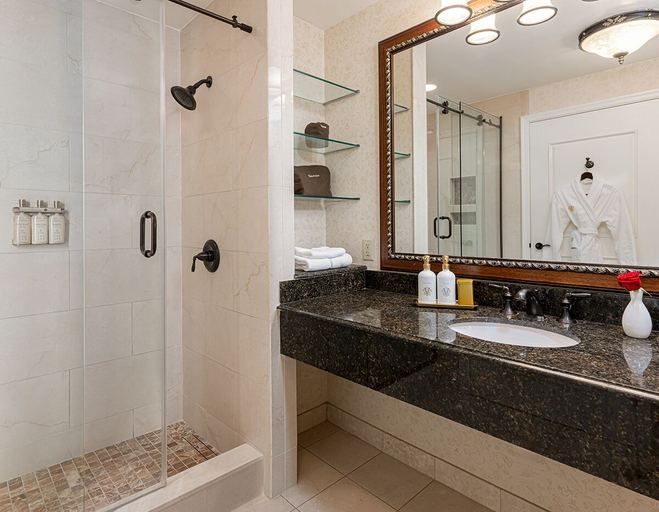 Bathroom 5, The Inn on Biltmore Estate, Buncombe