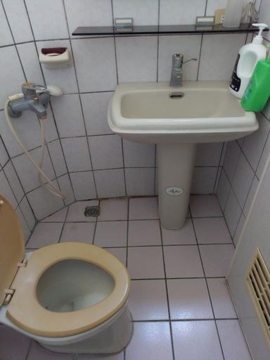 Bathroom 3, Shan Shui B&B, Hualien
