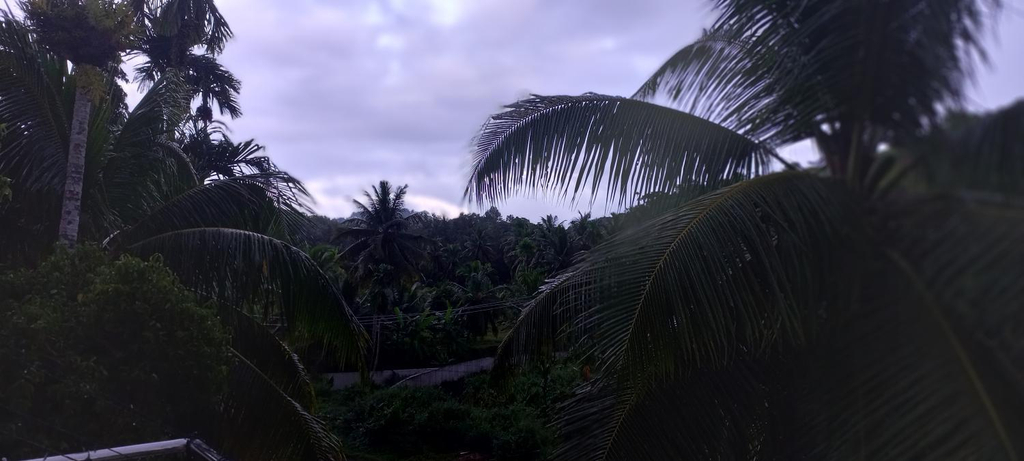 3, Pibo Homestay, South Andaman