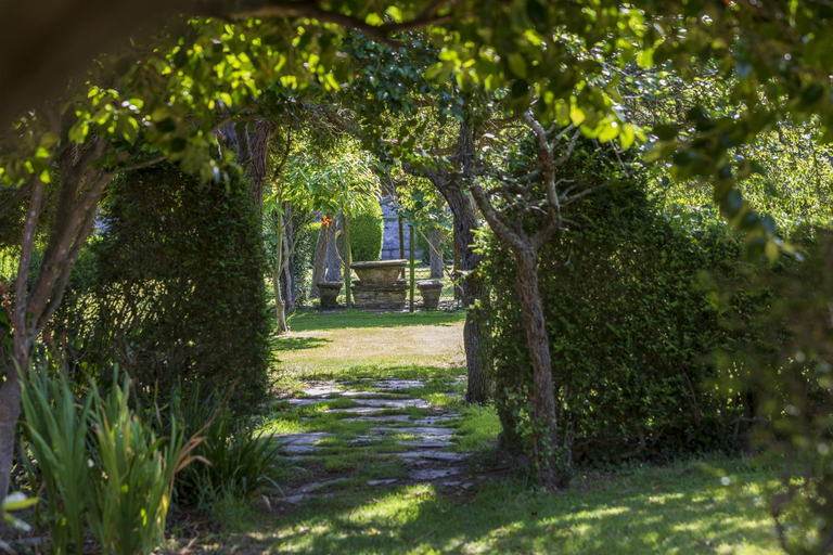 Others 5, Araucaria House, Lugo
