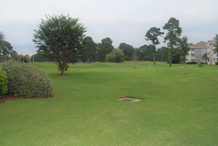Golf 5, 4673 Wild Iris Dr 203 2 Bedroom Condo by Redawning, Horry
