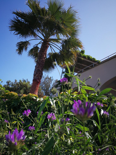 Others 5, Villa Le Terrazze plus Pool, Lecce
