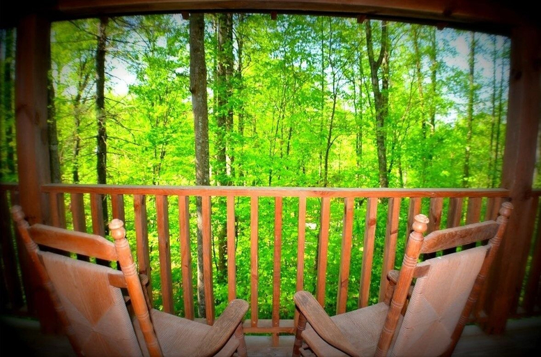 Others 4, Always Misbehavin 1 Bedroom Cabin by RedAwning, Sevier
