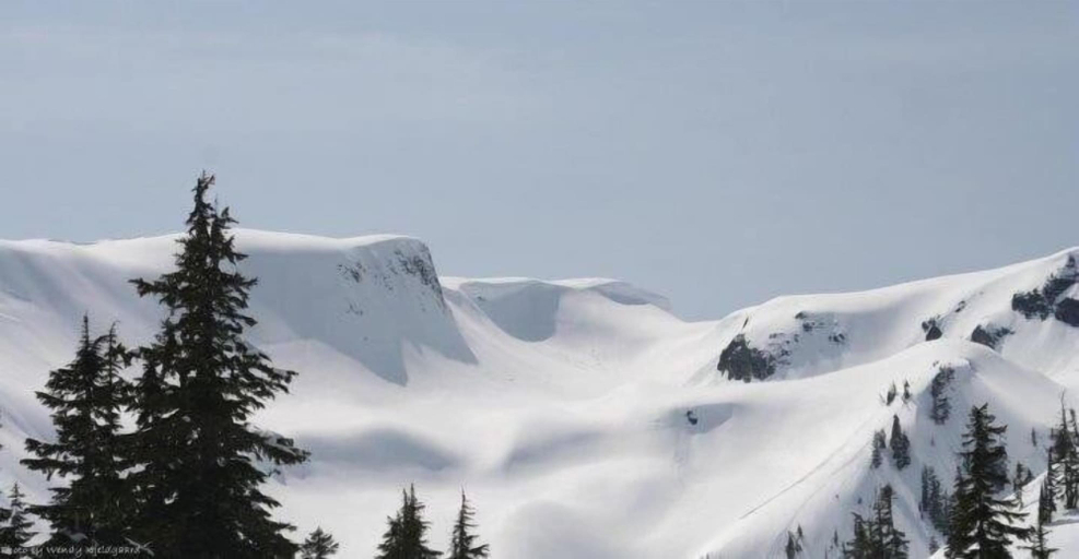 Snow and ski sports, Glacier Springs – Cabin #16 - 1Br Cabin, Whatcom