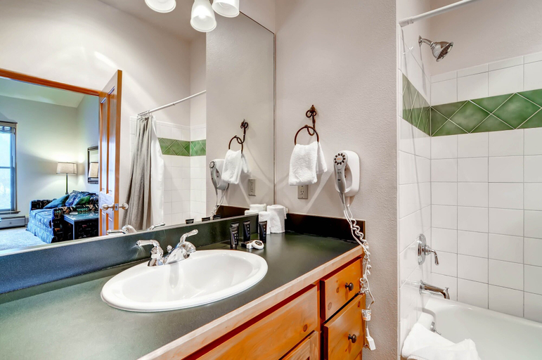 Bathroom, Black Bear 8078, Summit
