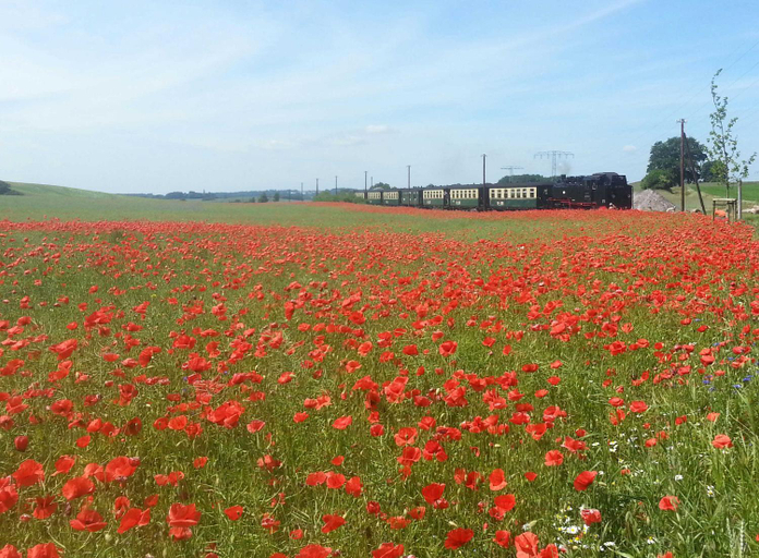 Others 4, Ferienwohnungen Sellin mit Seeblick, Vorpommern-Rügen