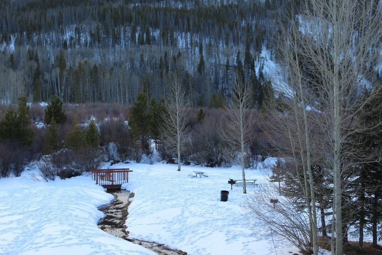 Snow and ski sports, 241c Mountain Side 2br 2ba 2 Bedroom Condo by RedAwning, Summit