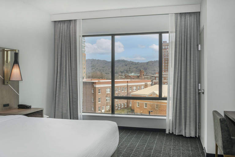 Bedroom 3, Embassy Suites By Hilton Asheville Downtown, Buncombe