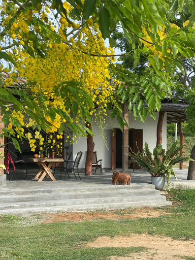 Others 2, Alay Lake - Yala, Thissamaharama