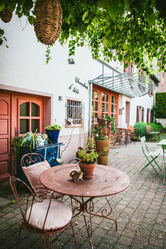 Exterior & Views 5, les hortensias La Souris Des Champs, Vosges