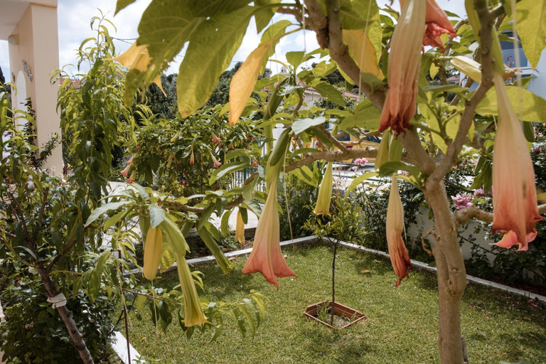 Garden 5, Anna Maria Apartments, Ionian Islands