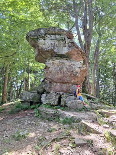 Others 5, Dom Goscinny Dudek, Nowy Sącz