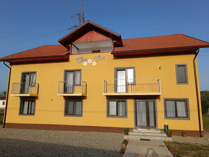 Others 4, Casa Godi, Godinesti