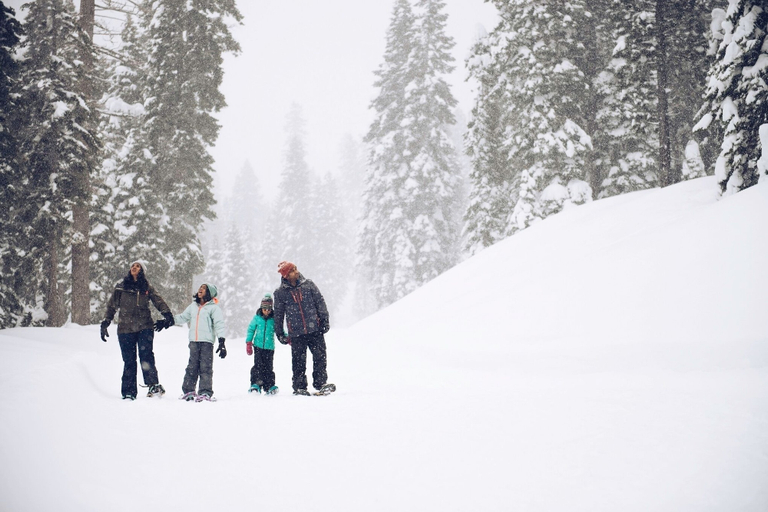 Snow and ski sports 5, 3174 Aspen Grove, Placer