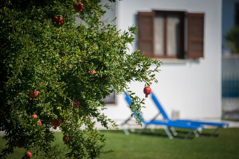 Others 3, Molino Villa, Central Macedonia