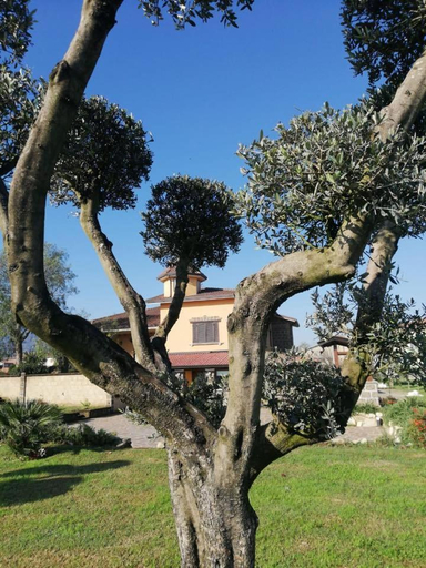 Others 2, Ponte Vestilli B&B, Benevento