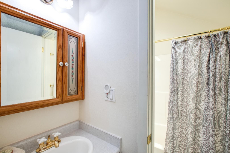 Bathroom 3, Snowater #38, Whatcom