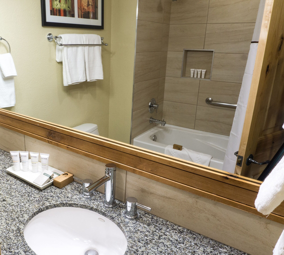 Bathroom 5, Grand Summit Mountainside Next to Red Pine Gondola by RedAwning, Summit