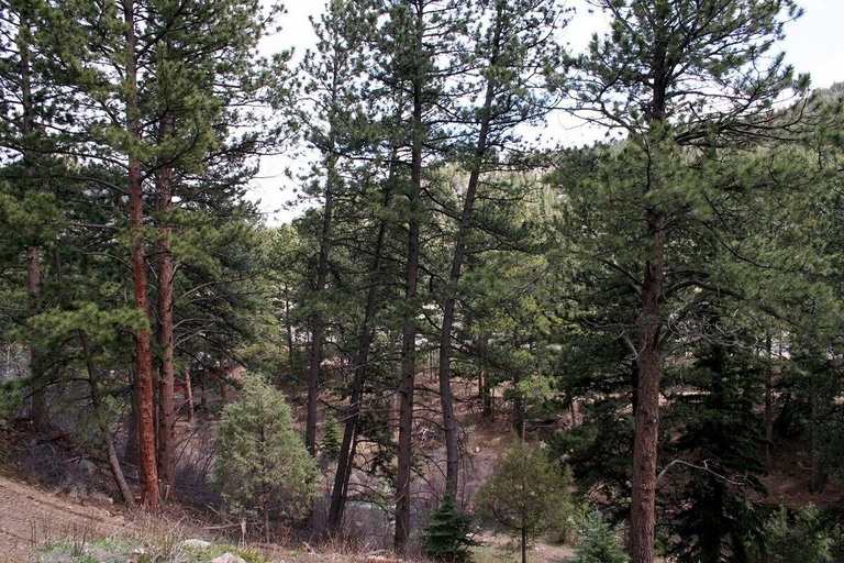 Others 5, Fawn Valley Inn: 105 1 Bedroom Condo, Larimer