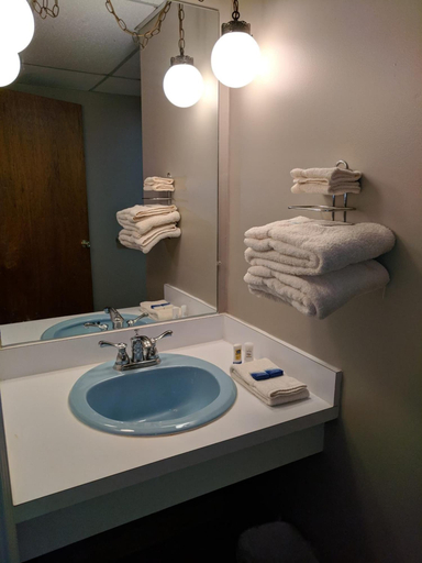 Bathroom 5, Attican Motel, Genesee