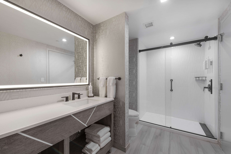 Bathroom 4, Embassy Suites By Hilton Asheville Downtown, Buncombe