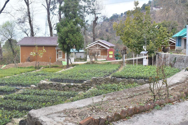 Others 4, Forest Rest House Bir, Kangra