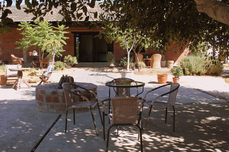Food & Drinks 4, Las Orquideas, Ensenada