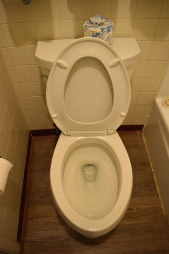 Bathroom 5, Rodeway Inn Alamogordo, Otero