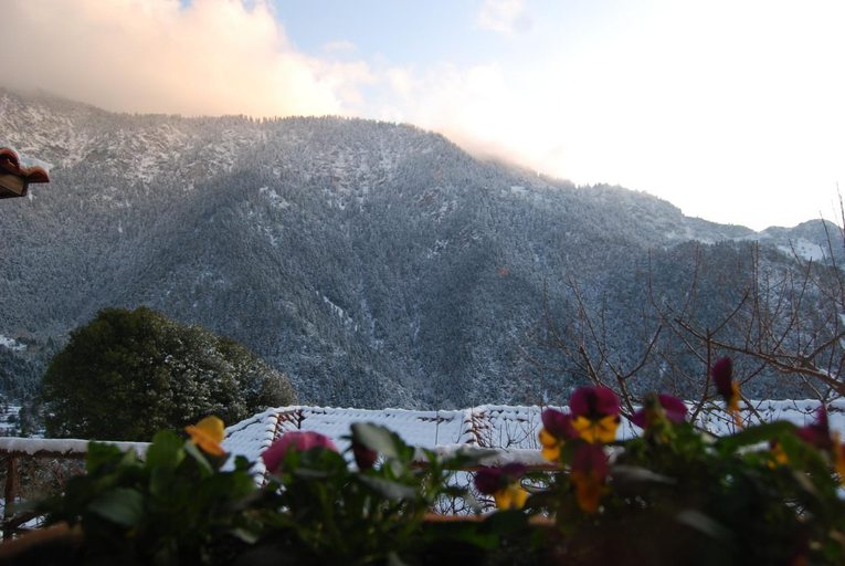 Others 4, Dryades Guesthouse, West Greece