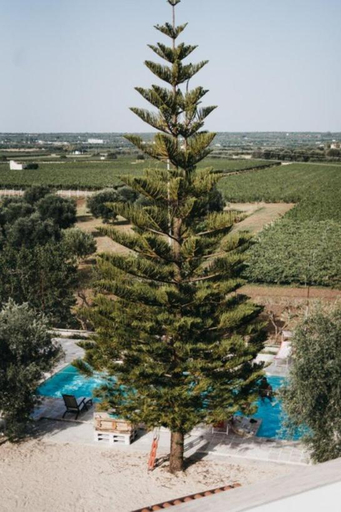 Others 2, Masseria Macchiarola, Taranto