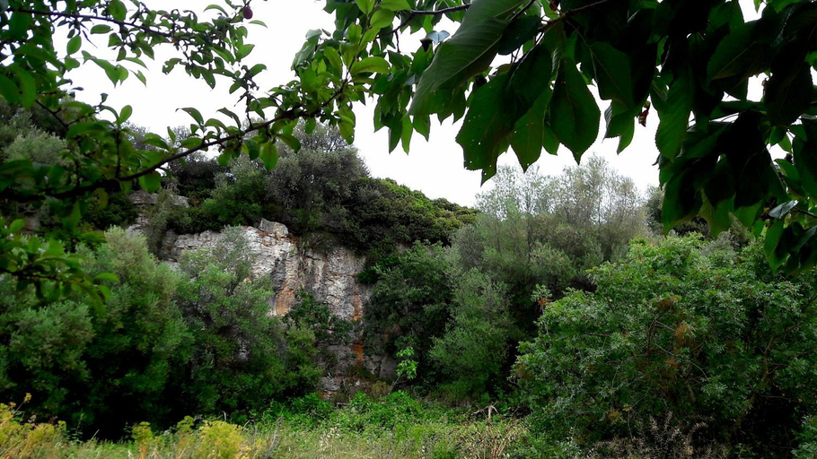 Surrounding environment