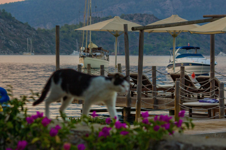Others 1, Losta Sahil Evi - Adults Only +12, Marmaris