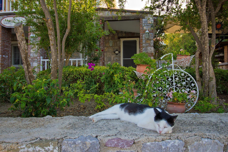Others 3, Losta Sahil Evi - Adults Only +12, Marmaris