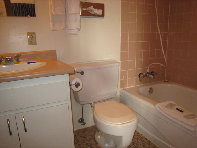 Bathroom 3, Falcon Nest Motel, Cowichan Valley