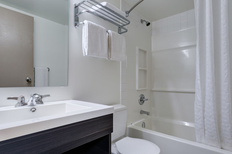 Bathroom 4, Heritage Inn Hotel & Convention Centre Saskatoon, Division No. 11