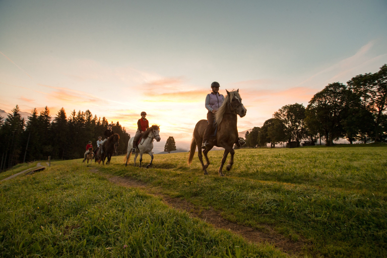 Horseback riding, Seiterhof, Liezen