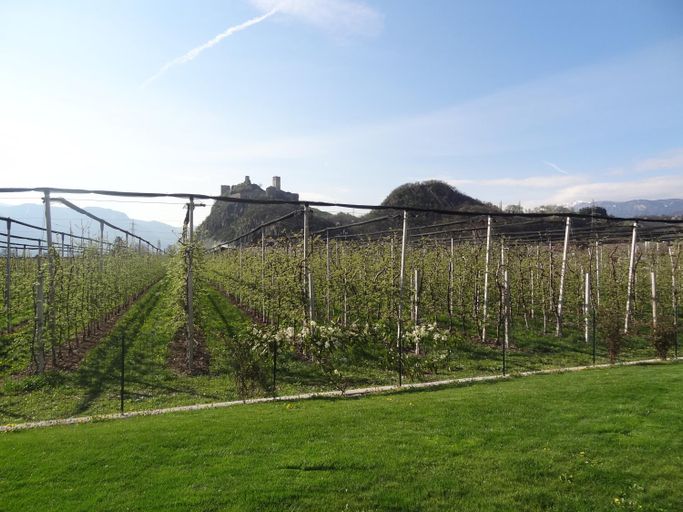 Surrounding environment, Apartments Klotz, Bolzano