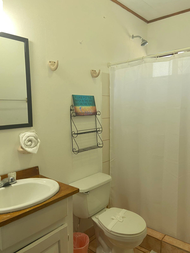 Bathroom 2, Hotel Perico Azul, Garabito