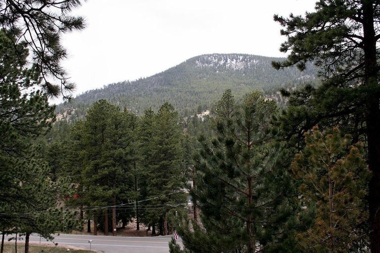 Property grounds 2, Timber Creek Chalets: 11 1 Bedroom Chalet, Larimer