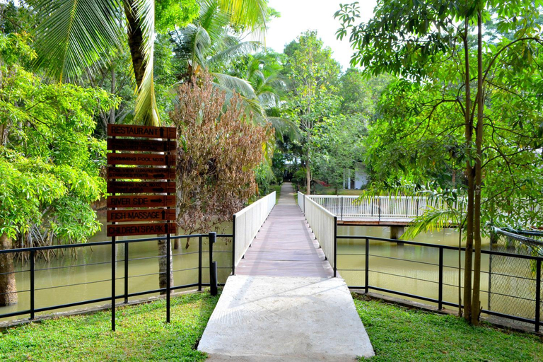 Others 3, Kottawatta Village, Embilipitiya
