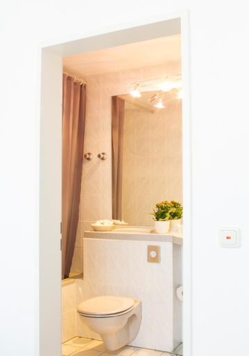 Bathroom 4, Hotel Roemerstein, Mainz