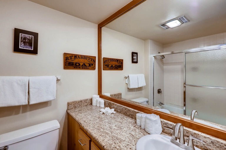 Bathroom, Lenawee 1747, Summit